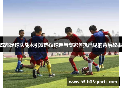 成都足球队战术引发热议球迷与专家各执己见的背后故事